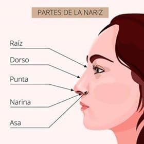 rinoplastia cerrada
