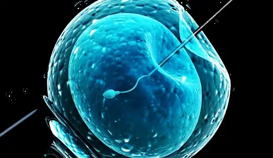 ivf lima peru in vitro fertilization lima peru