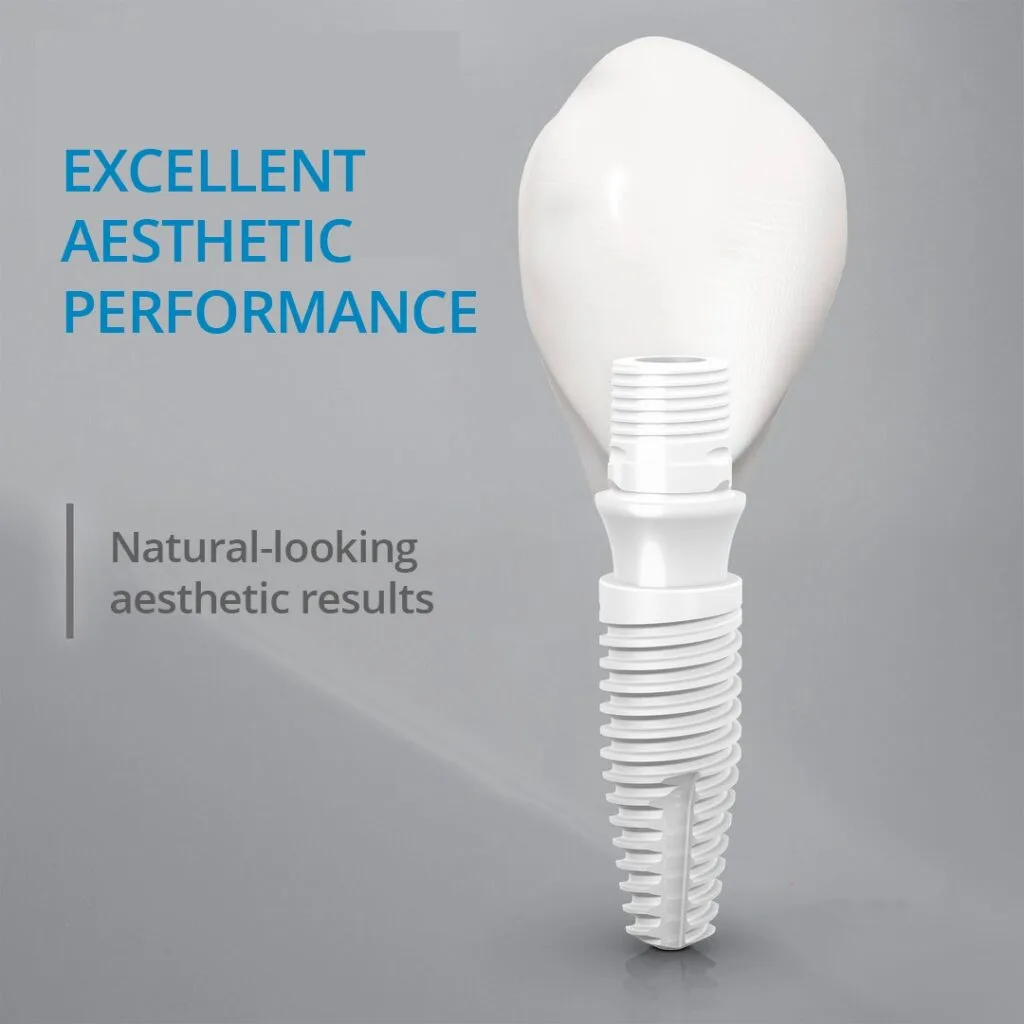 zirconium dental implant3